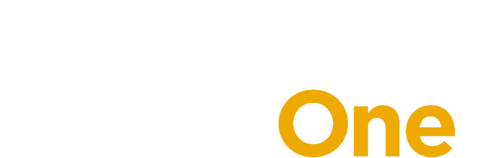 Sap Business One V2